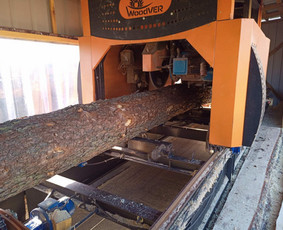 Mobilūs gateriai, medienos pjovimas - Medienos pjovimas diskiniu gateriu - 1