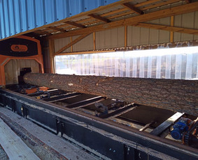 Mobilūs gateriai, medienos pjovimas - Medienos pjovimas diskiniu gateriu - 2