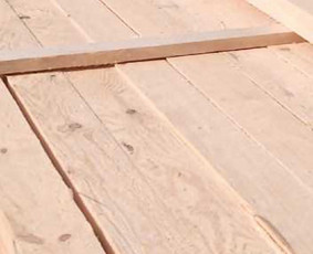 Mobilūs gateriai, medienos pjovimas - Medienos pjovimas diskiniu gateriu - 3