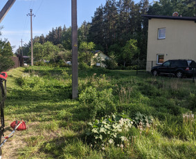 Aplinkos tvarkymas ir kiti darbai / Ernestas Bernatavicius / Darbų pavyzdys ID 3392404