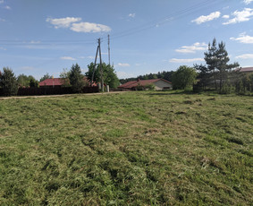 Aplinkos tvarkymas ir kiti darbai / Ernestas Bernatavicius / Darbų pavyzdys ID 3392408