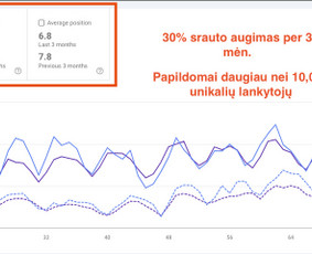Seo, Ai Seo jūsų projektams. Nemokama konsultacija / Mantas Tamošaitis / Darbų pavyzdys ID 3393012