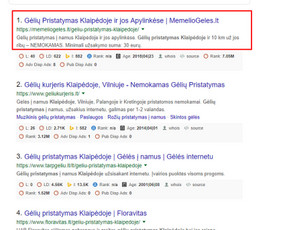Seo, Ai Seo, Geo, Aeo ir Google Ads – ateities sprendimai / Aivaras Jocys | SEOpartneriai.lt / Darbų pavyzdys ID 655165