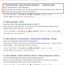 Seo, Ai Seo, Geo, Aeo ir Google Ads – ateities sprendimai / Aivaras Jocys | SEOpartneriai.lt / Darbų pavyzdys ID 655167