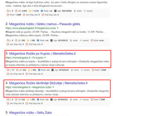 Seo, Ai Seo, Geo, Aeo ir Google Ads – ateities sprendimai / Aivaras Jocys | SEOpartneriai.lt / Darbų pavyzdys ID 655169