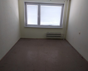 Griovimo darbai šiukšliu išvežimas / Audrius / Darbų pavyzdys ID 3393310