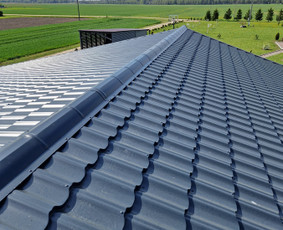 Karkasiniai namai,terasos stogin ir kiti statiniai iki raktų - Karkasinių namų statyba - 2 Karkasinių namų statyba - Karkasiniai namai,terasos stogin ir kiti statiniai iki raktų - 2