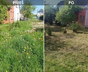Žolės Pjovimo, Krūmų Formavimo Ir Teritorijų Tvarkymas / Marius Špokas / Darbų pavyzdys ID 3393772