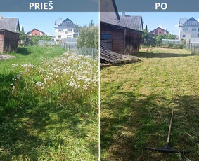 Žolės Pjovimo, Krūmų Formavimo Ir Teritorijų Tvarkymas / Marius Špokas / Darbų pavyzdys ID 3393774