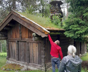 Apželdinimas, Angliški sodai, akmeniniai keliai - Šlaitų tvirtinimas ir apželdinimas - 1 Šlaitų tvirtinimas ir apželdinimas - Apželdinimas, Angliški sodai, akmeniniai keliai - 1