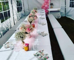 Servetėlių, staltiesių nuoma - Palapinių nuoma ir kitos paslaugos &scaron;ventėms ir renginiams - 4