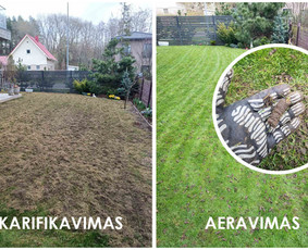 Vejos Aeravimas /Core Aeravimas / Martynas.em / Darbų pavyzdys ID 3397028
