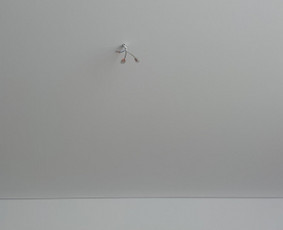 Sienų dažymas - Smulkūs ir stambesni vidaus apdailos darbai Kaune ir Kauno r - 1