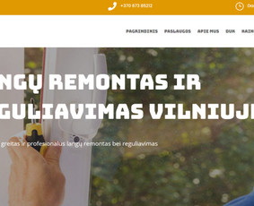 Interneto svetainių kūrimas, e-shop, Seo optimizacija / Tomas Bagačiūnas / Darbų pavyzdys ID 3397254