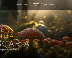 Interneto svetainių kūrimas, e-shop, Seo optimizacija / Tomas Bagačiūnas / Darbų pavyzdys ID 3397256