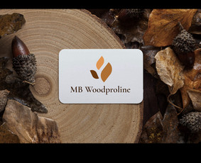 Logotipų kūrimas - Logotipu kurimas, reklama, Grafinis dizainas - 4