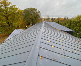 Stogo, darbai, irengimas, dengimas, renovacija, stogdengiai / Olegas statybos / Darbų pavyzdys ID 3397666