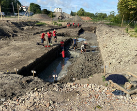 Archeologas, Archeologiniai tyrimai / Donatas Zubrickas / Darbų pavyzdys ID 3399292