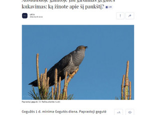 Verslo komunikacijos paslaugos - Pranešimų žiniasklaidai ruošimas - 1 Pranešimų žiniasklaidai ruošimas - Verslo komunikacijos paslaugos - 1