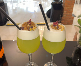 Mobilus kokteilių baras vakarėlyje - Phoenix Bar - 3