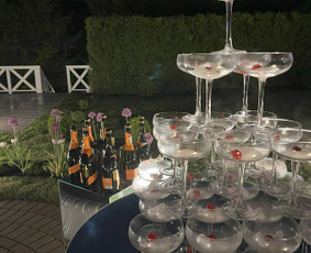 Phoenix Bar / ,,PHOENIX BAR'' / Darbų pavyzdys ID 3399682