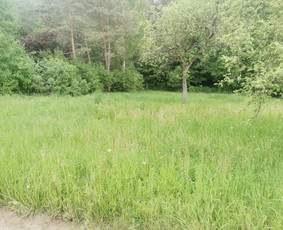 Žolės Pjovimas Su Trimeriu Ir Žoliapjove / Mindaugas / Darbų pavyzdys ID 3402130