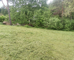 Žolės Pjovimas Su Trimeriu Ir Žoliapjove / Mindaugas / Darbų pavyzdys ID 3402134