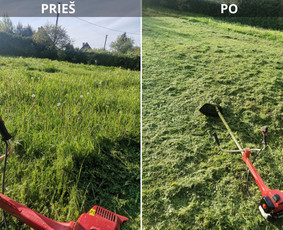 Žolės Pjovimas Su Trimeriu Ir Žoliapjove / Mindaugas / Darbų pavyzdys ID 3402168