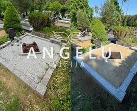 Angelų vizija - kapų tvarkymas / Angelų vizija / Darbų pavyzdys ID 3402764