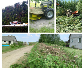 Avarinių medžių pjovimas gyvatvorių karpymas. / Aplinkos tvarkymo-priežiūros darbai / Darbų pavyzdys ID 3407080