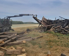 Avarinių medžių pjovimas gyvatvorių karpymas. / Aplinkos tvarkymo-priežiūros darbai / Darbų pavyzdys ID 3407488