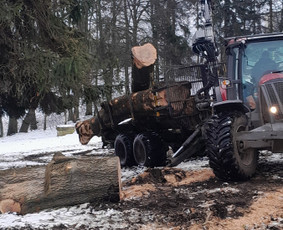 Avarinių medžių pjovimas gyvatvorių karpymas. / Aplinkos tvarkymo-priežiūros darbai / Darbų pavyzdys ID 3407490