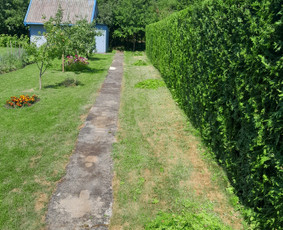Avarinių medžių pjovimas gyvatvorių karpymas. / Aplinkos tvarkymo-priežiūros darbai / Darbų pavyzdys ID 3407498