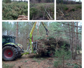 Avarinių medžių pjovimas gyvatvorių karpymas. / Aplinkos tvarkymo-priežiūros darbai / Darbų pavyzdys ID 3407510