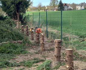 Avarinių medžių pjovimas gyvatvorių karpymas. / Aplinkos tvarkymo-priežiūros darbai / Darbų pavyzdys ID 3407512