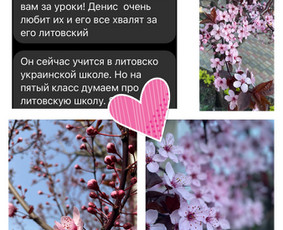 Nuotolinės kalbos pamokos per Google meet! / Edita Vitkienė / Darbų pavyzdys ID 3408620