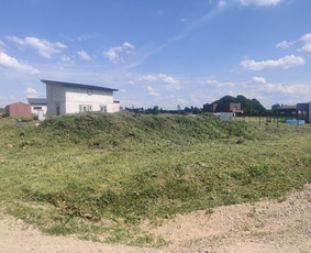 Aplinkos tvarkymas ir kiti darbai / Ernestas Bernatavicius / Darbų pavyzdys ID 3408950