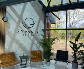 Internetas, IT - Logotipo/firminio stiliaus kūrimas. Grafikos dizainas - 4