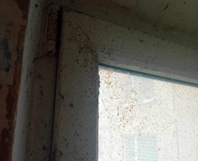 Profesionalios valymo paslaugos ! / MB "Švaros spindulys'' / Darbų pavyzdys ID 3411056