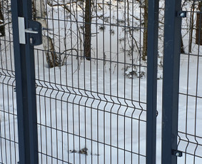 Skardinių rombo ir žaliuzi tvorų gamyba ir montavimas / UAB "Tvorų meistras" / Darbų pavyzdys ID 3411916