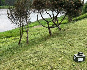 Vejos įrengimas: sėjimas, ruloninė veja - Teritorijų tvarkymas trimeriu, traktoriuku, žoliapjove ir kt - 1