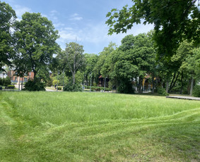 Vejos Priežiūra ir Gerbūvio Darbai / Jaunius / Darbų pavyzdys ID 3412454