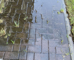 Vejos Priežiūra ir Gerbūvio Darbai / Jaunius / Darbų pavyzdys ID 3412470