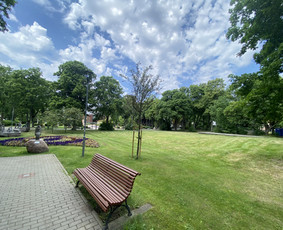 Vejos Priežiūra ir Gerbūvio Darbai / Jaunius / Darbų pavyzdys ID 3412480