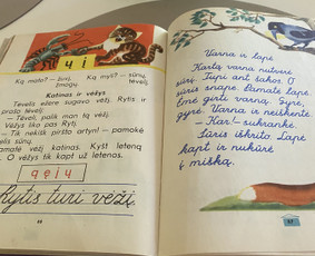 Pradinio ir priešmokyklinio ugdymo pedagogė / Loreta Ponelienė / Darbų pavyzdys ID 3413330
