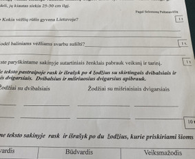 Pradinio ir priešmokyklinio ugdymo pedagogė / Loreta Ponelienė / Darbų pavyzdys ID 3413412