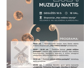 Plakatų maketavimas - Logotipo/firminio stiliaus kūrimas. Grafikos dizainas - 2