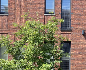 Urbanistinė Architektūra / Urbanistinė architektūra / Darbų pavyzdys ID 3417374