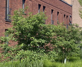 Urbanistinė Architektūra / Urbanistinė architektūra / Darbų pavyzdys ID 3417378