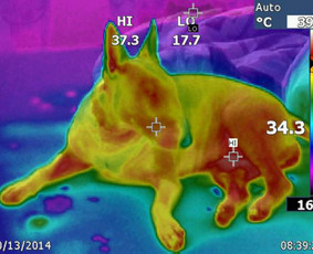 Termoviziniai tyrimai - Akredituotas sandarumo testas, akustiniai matavimai- pigiai! - 2